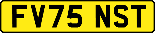 FV75NST
