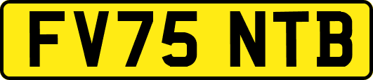 FV75NTB