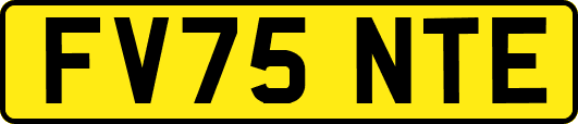 FV75NTE