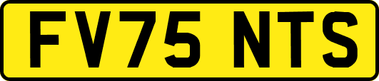 FV75NTS