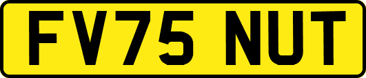 FV75NUT