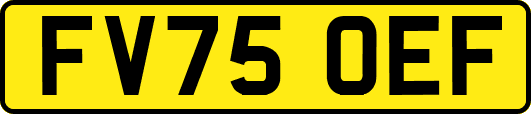 FV75OEF