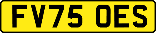 FV75OES