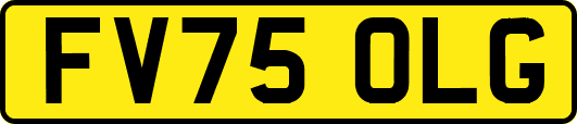 FV75OLG