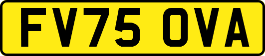 FV75OVA