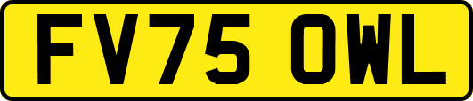 FV75OWL