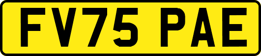 FV75PAE