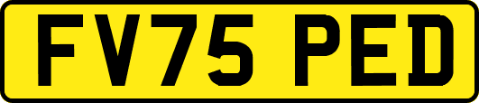 FV75PED