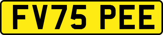 FV75PEE