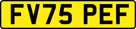 FV75PEF