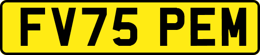 FV75PEM