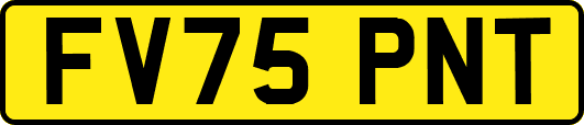 FV75PNT