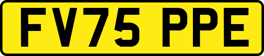 FV75PPE