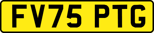 FV75PTG
