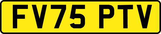 FV75PTV