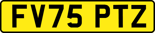 FV75PTZ
