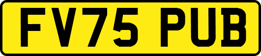FV75PUB
