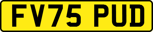 FV75PUD