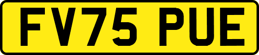 FV75PUE