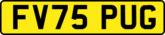 FV75PUG
