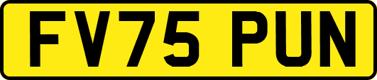 FV75PUN