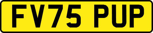 FV75PUP