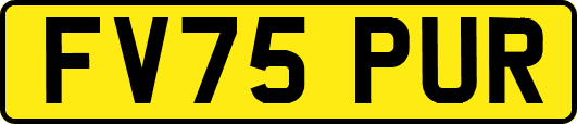 FV75PUR