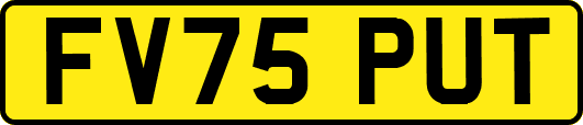FV75PUT