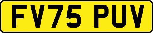 FV75PUV