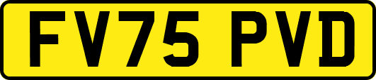 FV75PVD
