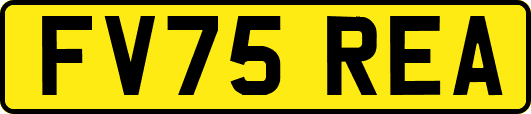 FV75REA