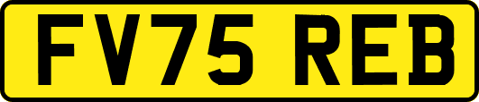 FV75REB