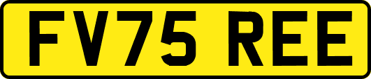 FV75REE