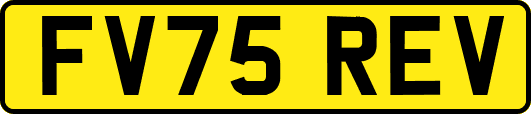 FV75REV
