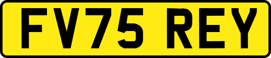 FV75REY