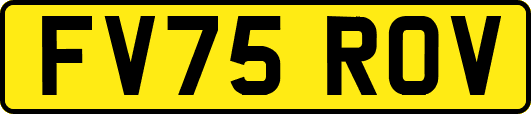 FV75ROV