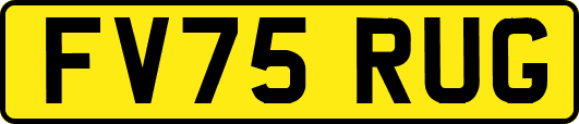 FV75RUG