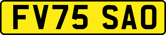 FV75SAO