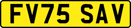 FV75SAV