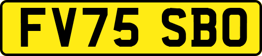 FV75SBO