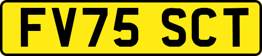 FV75SCT