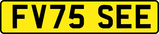FV75SEE