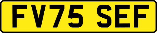 FV75SEF