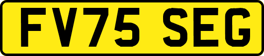 FV75SEG