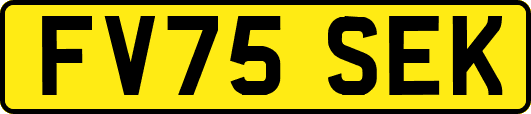 FV75SEK