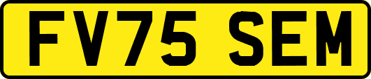 FV75SEM