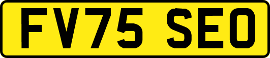 FV75SEO