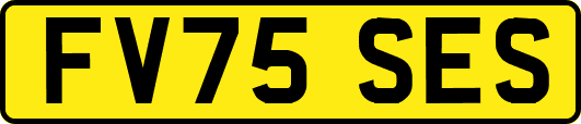 FV75SES