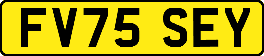 FV75SEY