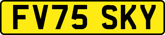 FV75SKY